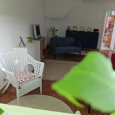 Apartmán Lugar De Cal Fene Exteriér fotografie